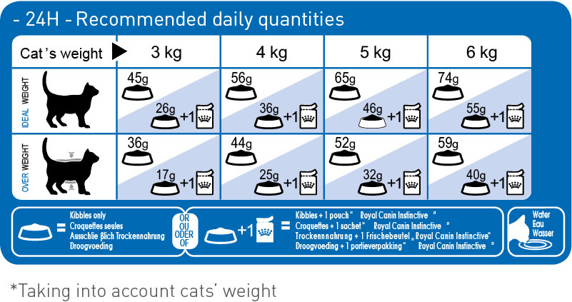 Khẩu phần ăn ROYAL CANIN Indoor cho mèo