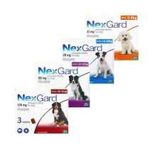 NexGard - Trị ve rận cho chó