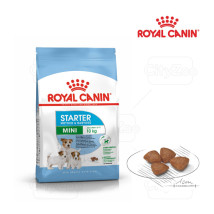 Royal Canin Mini Starter Mother & Babydog 1kg