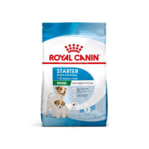 Thức ăn cho chó Royal Canin Mini Starter Mother & Babydog 1kg