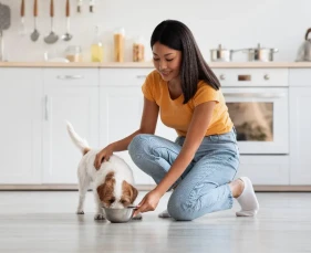 VIÊM TỤY Ở CHÓ MÈO