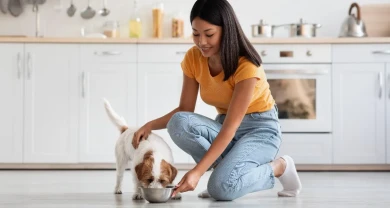 VIÊM TỤY Ở CHÓ MÈO