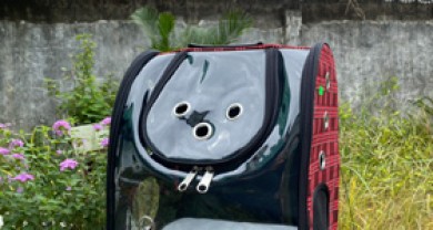 Vì sao phải đựng thú cưng bằng bao, giỏ, túi xách?